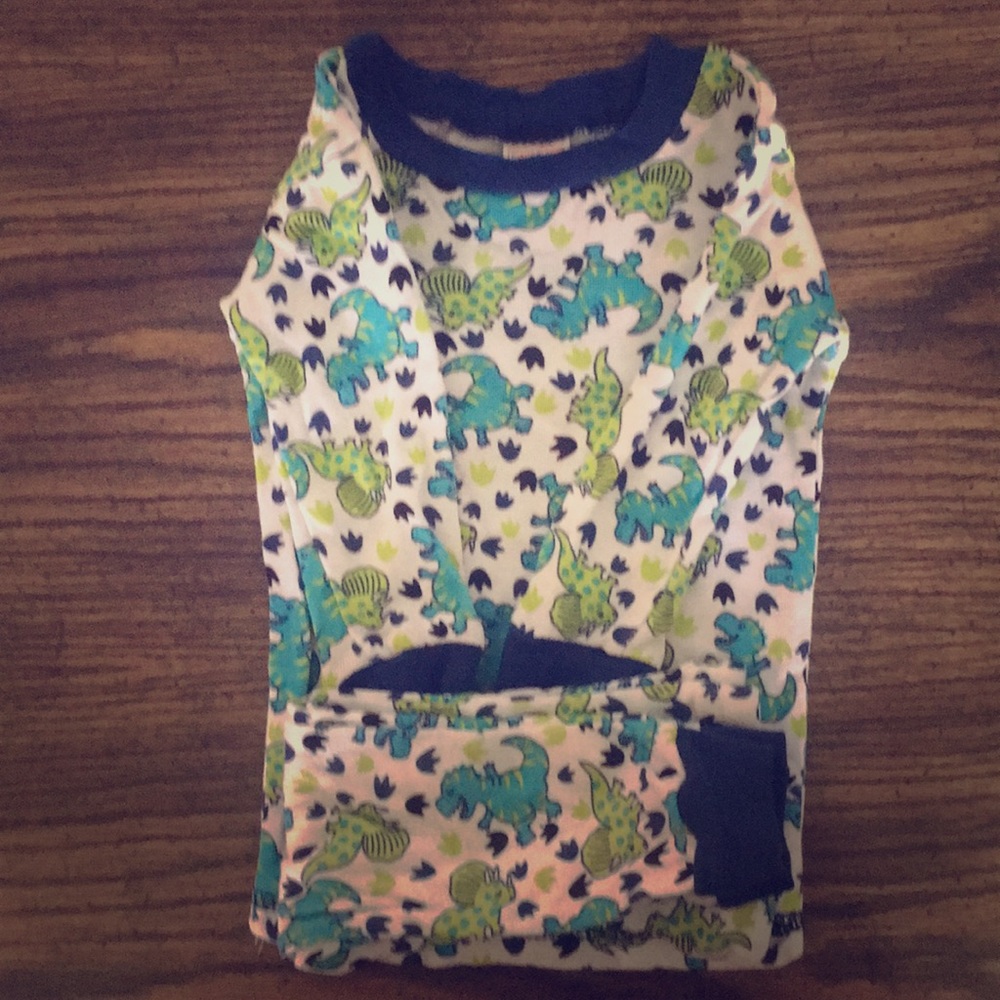 12 Month Dinosaur Pajama Set